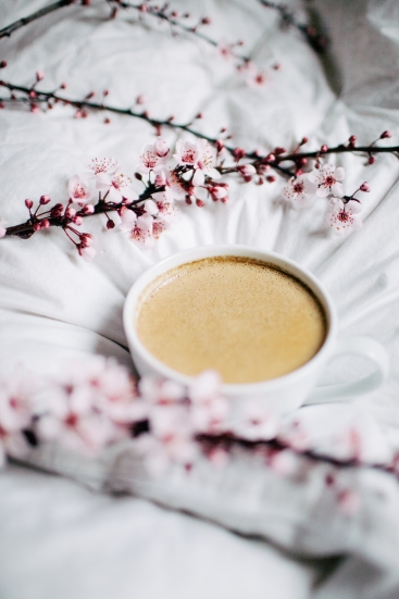 mia-moessinger-1505567-unsplash1